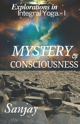 Mystery Of Consciousness by Sanjay