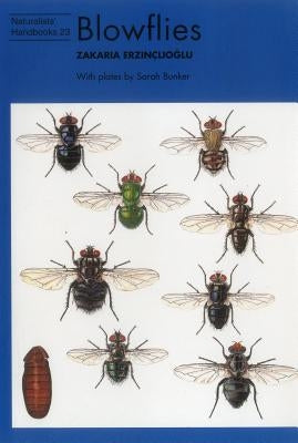 Blowflies by Erzinclioglu, Zakaria
