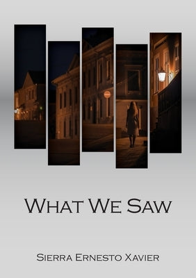 What We Saw by Ernesto Xavier, Sierra