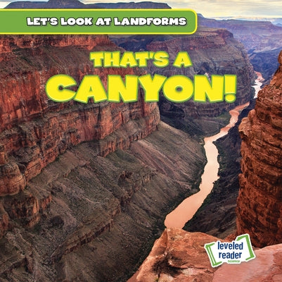 That's a Canyon! by Hicks, Dwayne
