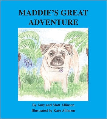 Maddie's Great Adventure by Allinson, Amy