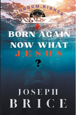 Born Again Now What Jesus by Bcmg