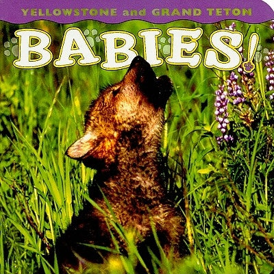 Yellowstone and Grand Teton Babies! by Shattil, Wendy