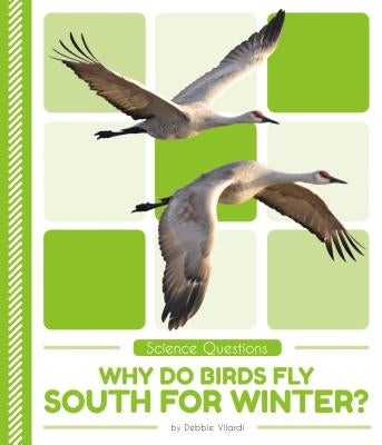 Why Do Birds Fly South for Winter? by Vilardi, Debbie