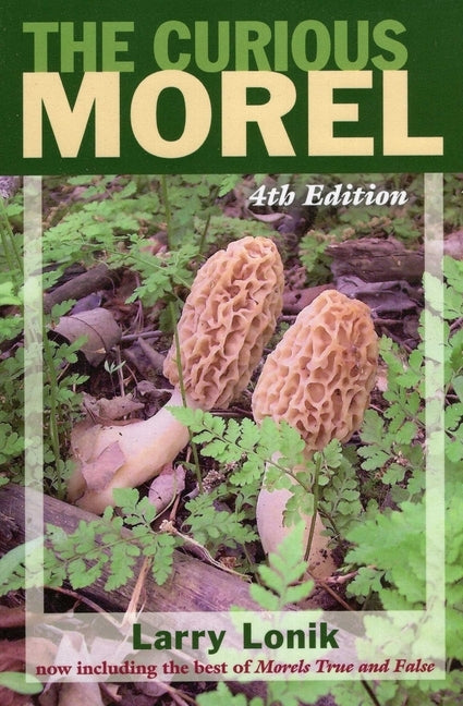 Curious Morel by Lonik, Larry