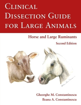 Clinical Dissection Guide for Large Animals by Constantinescu, Gheorghe