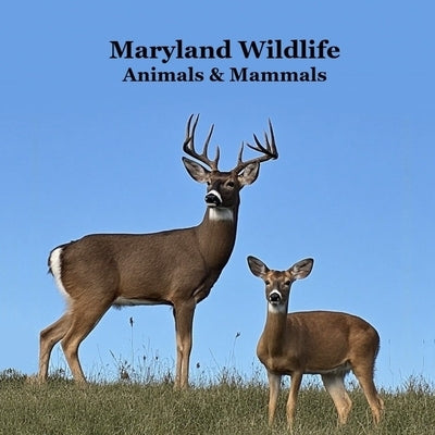 Maryland Animals and Mammals Kids Wildlife Book: Great Wildlife Book about Animals and Mammals in Maryland by Marie, Kinsey