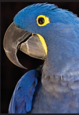 Kālarātri or Black Night Trilogy by Ostrogorsky, Michael