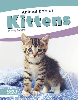 Kittens by Gaertner, Meg