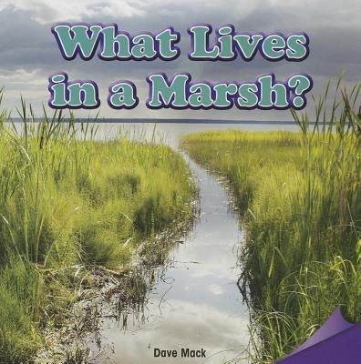 What Lives in a Marsh? by Mack, Dave