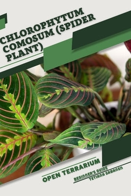 Chlorophytum comosum (Spider Plant): Open terrarium, Beginner's Guide by Sabanen, Tetiana