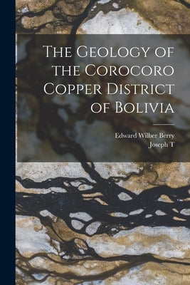 The Geology of the Corocoro Copper District of Bolivia by Berry, Edward Wilber