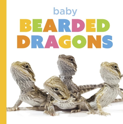 Baby Bearded Dragons by Murray, Laura K.