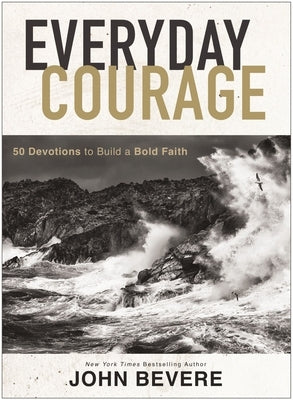 Everyday Courage: 50 Devotions to Build a Bold Faith by Bevere, John