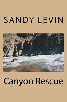Canyon Rescue by Levin, Sandy