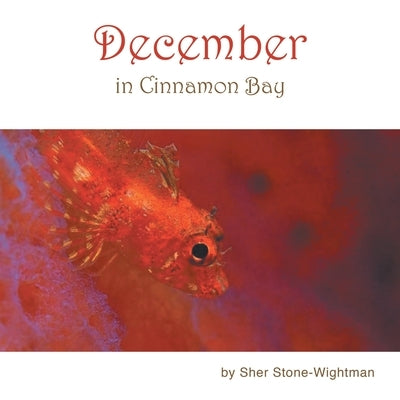 December in Cinnamon Bay by Stone-Wightman, Sher