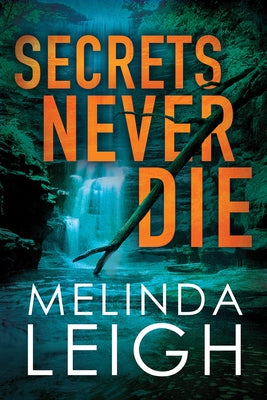 Secrets Never Die by Leigh, Melinda