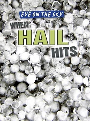 When Hail Hits by Honders, Christine