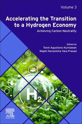Accelerating the Transition to a Hydrogen Economy: Achieving Carbon Neutrality by Kurniawan, Tonni Agustiono