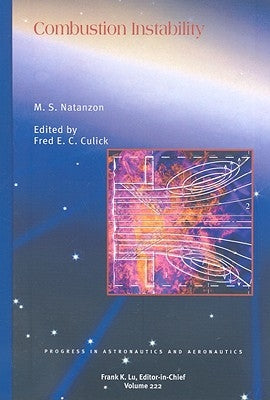 Combustion Instability by Natanzon, M. S.