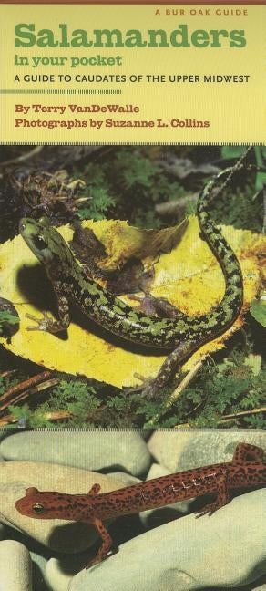 Salamanders in Your Pocket: A Guide to Caudates of the Upper Midwest by Vandewalle, Terry