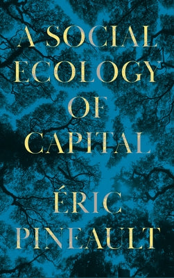 A Social Ecology of Capital by Pineault, Éric