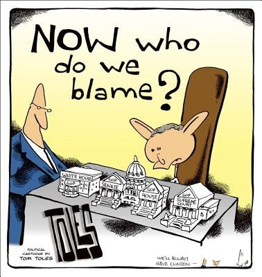 Now Who Do We Blame? by Toles, Tom