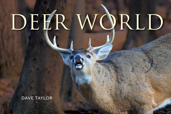 Deer World by Taylor, Dave