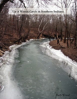 Up A Winter Creek in Southern Indiana by Wood, Barb