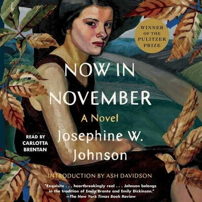Now in November by Johnson, Josephine