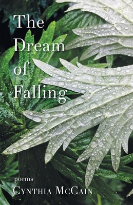 The Dream of Falling by McCain, Cynthia