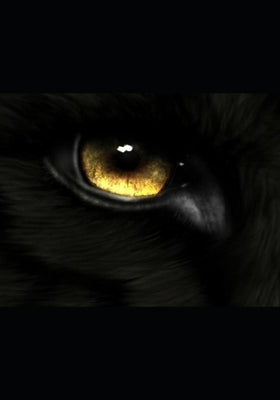 Wolf: Resolutions: Book 7 of the WOLF Series. by Yukon, Dozer