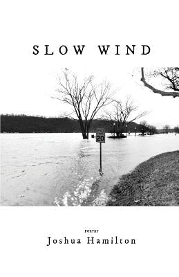 Slow Wind by Hamilton, Joshua