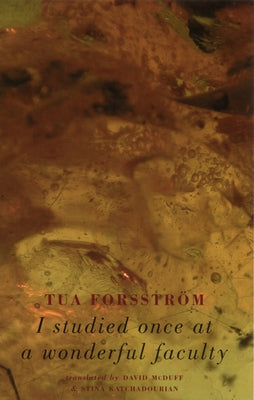 I Studied at a Wonderful Faculty by Forsström, Tua