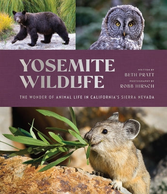 Yosemite Wildlife: The Wonder of Animal Life in California's Sierra Nevada by Pratt, Beth
