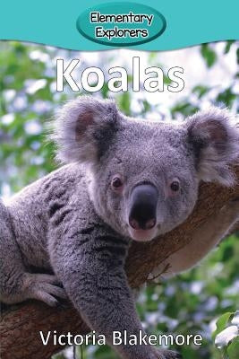 Koalas by Blakemore, Victoria