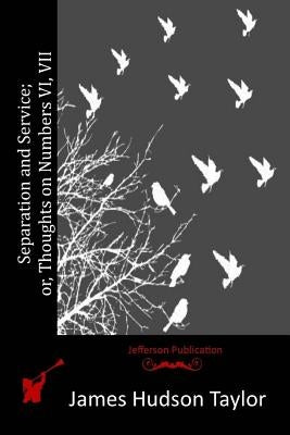 Separation and Service; or, Thoughts on Numbers VI, VII by Taylor, James Hudson