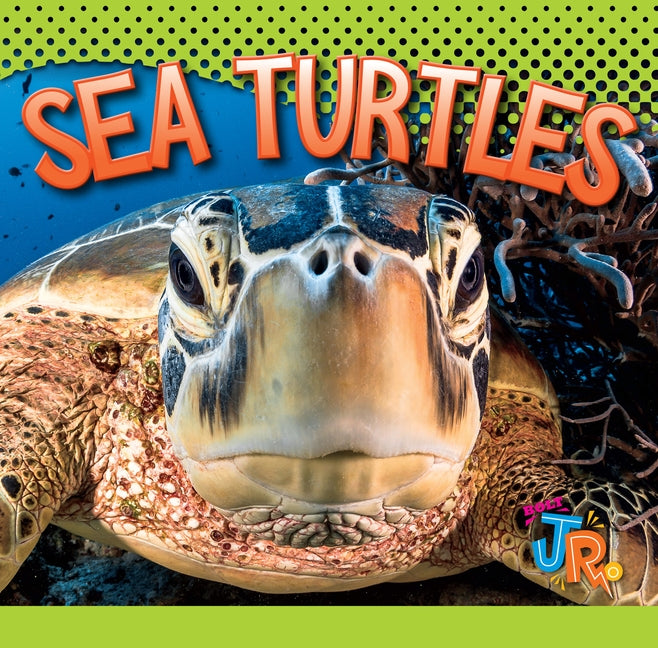 Sea Turtles by Storm, Marysa