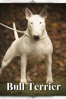 Bull Terrier: Dog breed overview and guide by Pustova, Nina