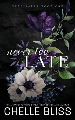 Never Too Late: Discreet Edition by Bliss, Chelle