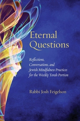 Eternal Questions by Feigelson, Josh