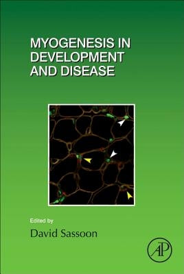 Myogenesis in Development and Disease: Volume 126 by Sassoon, David