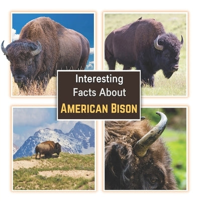 Interesting Facts about American Bison: Learn About the Bison with Picture Book for Children by Mahi, James K.