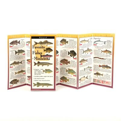 Favorite Fishes of Minnesota by Lewers, Steven