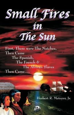 Small Fires in the Sun by Metoyer Jr, Herbert R.