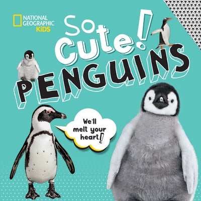 So Cute! Penguins by Boyer, Crispin