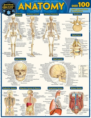 Anatomy Quizzer: A Quickstudy Laminated Reference Guide by Perez, Vincent