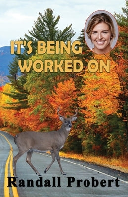 It's Being Worked On by Probert, Randall