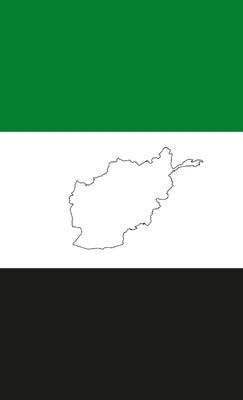 Afghanistan: What Went Wrong? by Bird, Anthony