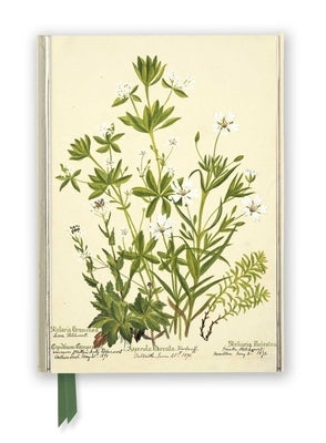 Rbge: Charlotte Cowan Pearson: Stitchworts, Woodruff and Pepperwort (Foiled Journal) by Flame Tree Studio